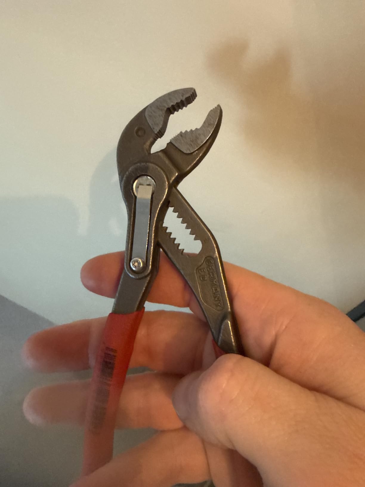 Cobra gerettet