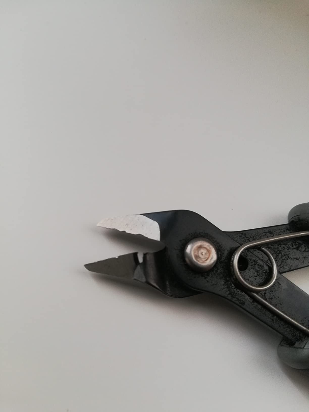 Mein Liebling am Arbeitsplatz